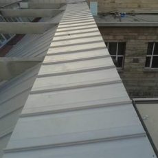FB_IMG_1491481980151