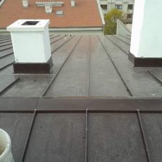 FB_IMG_1491482051225